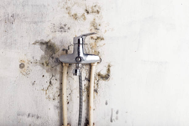 Best Water Damage Restoration  in Atwater, CA