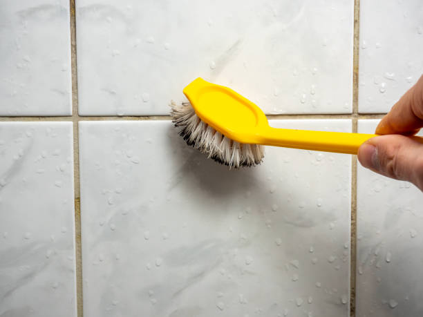 Best Same-Day Mold Removal  in Atwater, CA